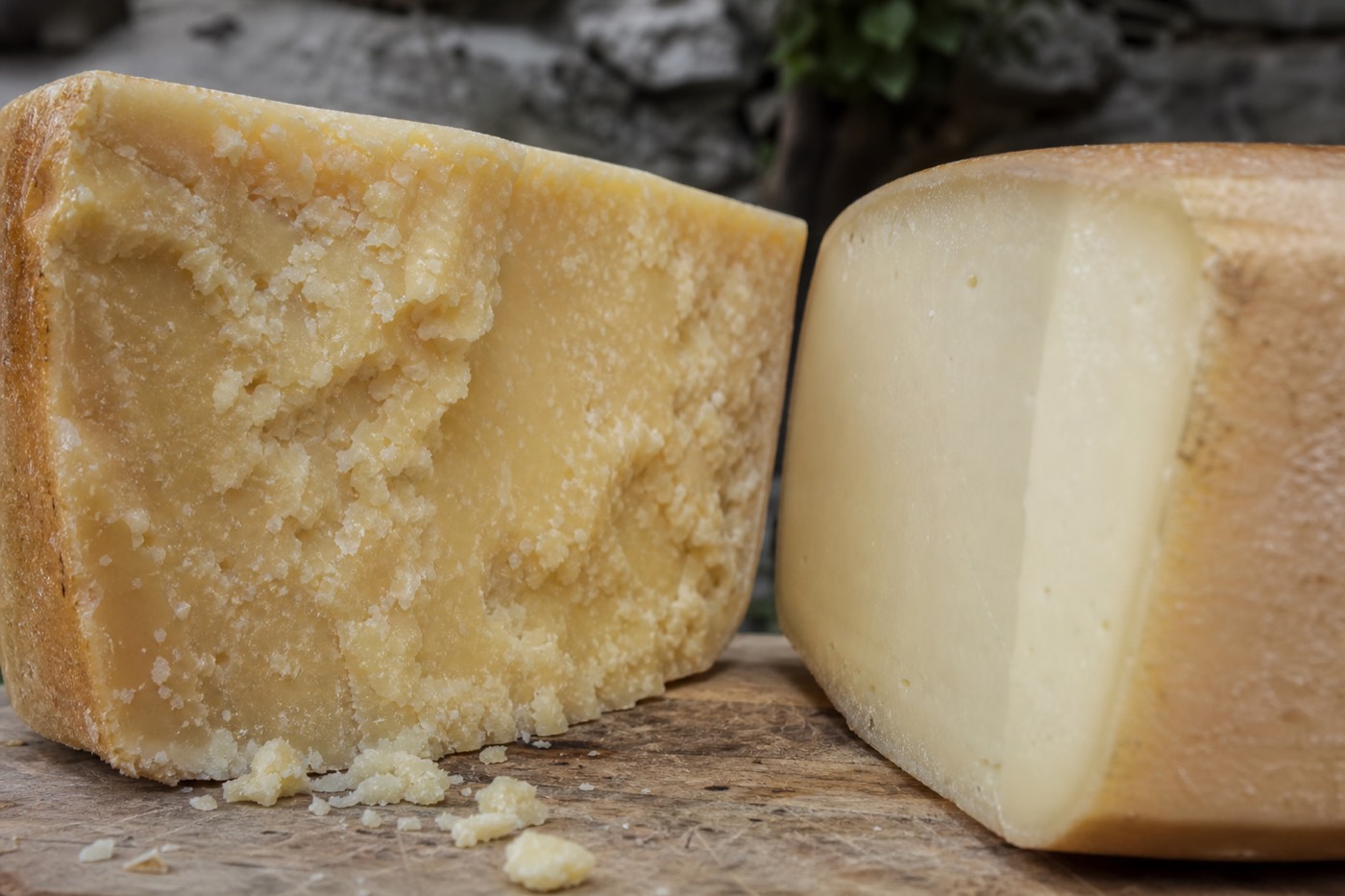 Wheels of Parmigiano Reggiano cheese stamped with DOP markings, illustrating the Parmigiano Reggiano vs Parmesan difference