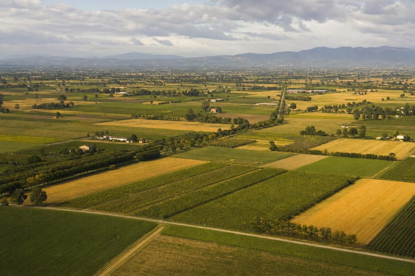 Countryside road connecting the Bologna Modena Parma Food Valley in Emilia-Romagna, Italy