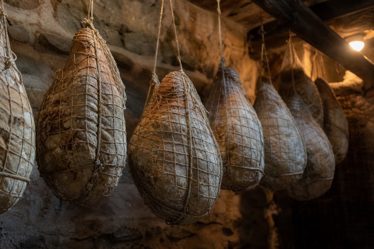 Culatello di Zibello, the rarest cured meat among Parma specialties