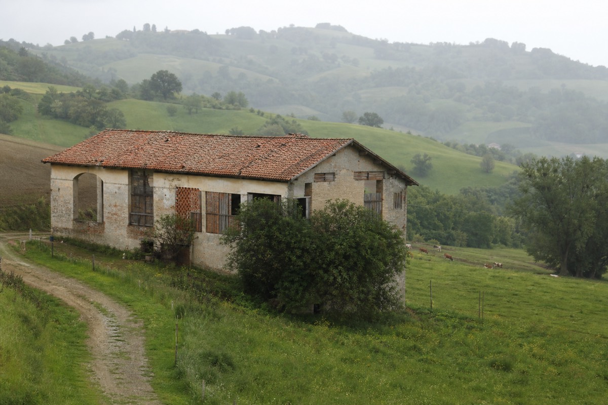 A dairy farm in the Parma countryside where the famous cheese behind the food in Parma Italy is produced